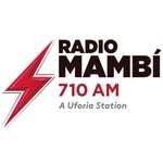 Radio Mambi 710AM – WAQI