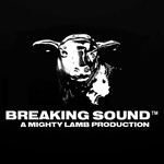 Breaking Sound Radio (BSR)