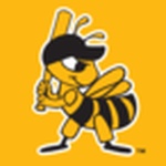 Salt Lake Bees Baseball Network