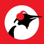 Pinguin Radio – Aardschok