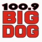 Big Dog 100.9 – CKTO-FM
