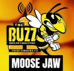 The Buzz Moose Jaw