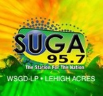 SUGA 95.7 FM Radio Station – WSGD-LP