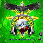 Freedom Online Radio 104.0